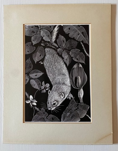 Original stoat print k - print,