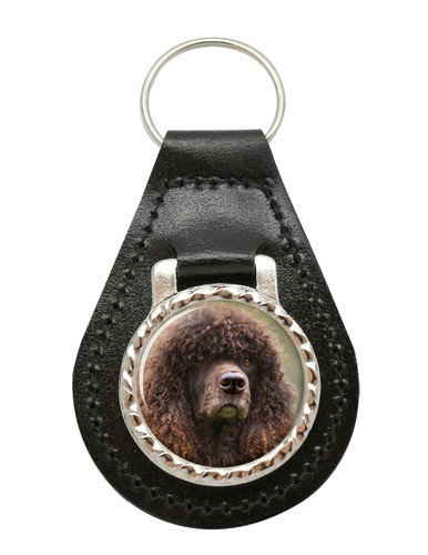 Irish water spaniel - water, leather