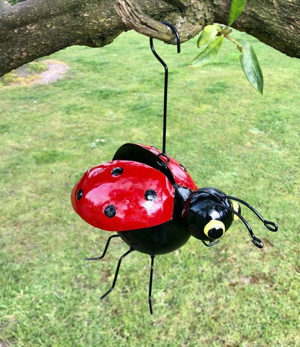 Ladybird metal hanging garden