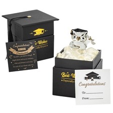 Graduation Gift Crystal Glass Owl Present Graduation Gifts for Her/Him Keepsake