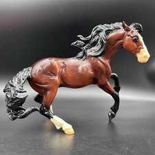 Breyer Shelby 2023 CC