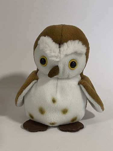 Brown and white - owl, bird