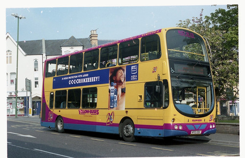 Yellow buses - yellow,