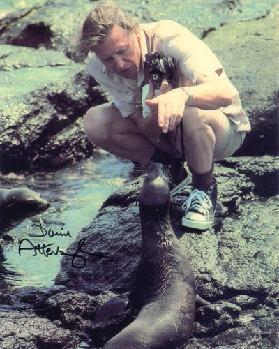 David attenborough nature - attenborough,
