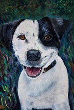 Jack Russell Terrie Acrylic