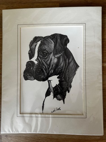 Boxer dog print and - dog,