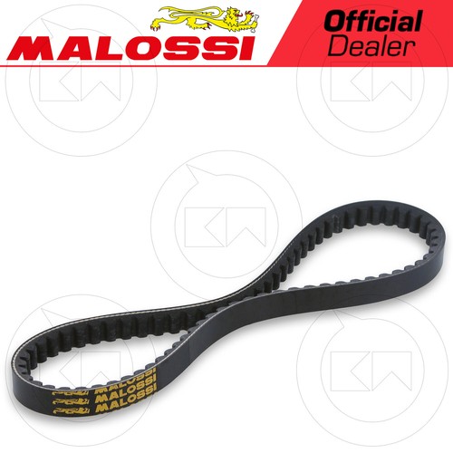 Malossi 6116422 transmission - malossi,