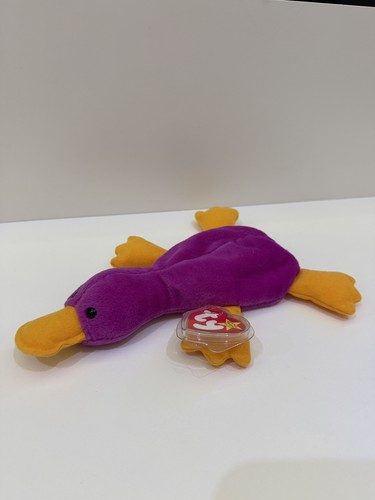 Patti the platypus - platypus,