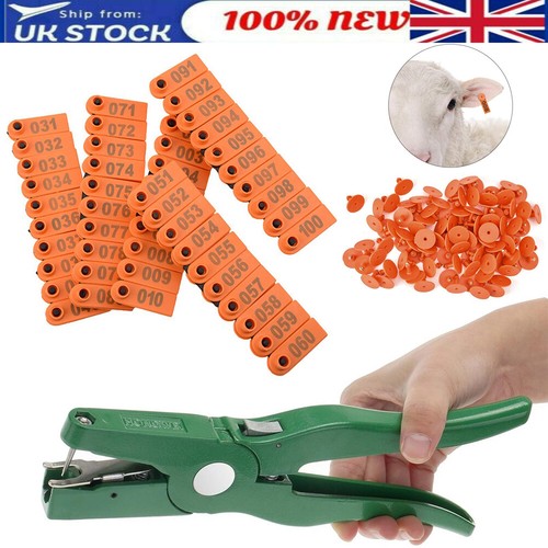 100pcs orange ear tags - 100pcs,