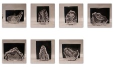 Crystal clear collectables - clear,
