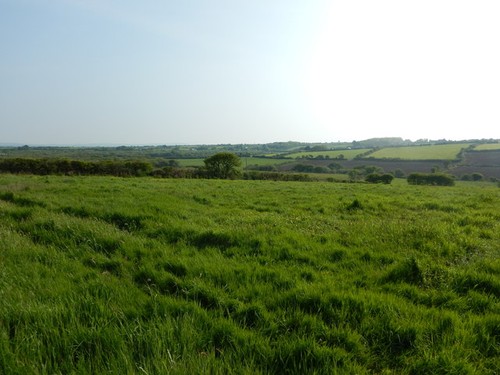 Photo field near higher - a3,