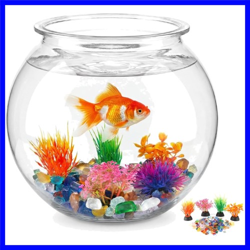 Compact gallon plastic fish - gallon,