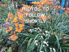 Salonwear Direct Grey Beauty Therapist/Spa/Massage Tunic/Uniform UK 20