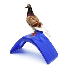 Plastic pigeon perch - perch, thickened