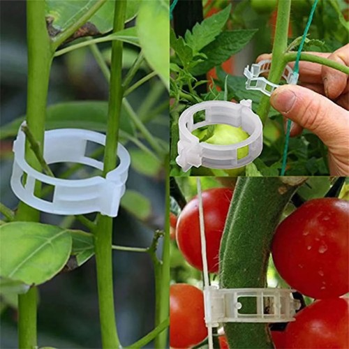 100x clip tomato - clip,