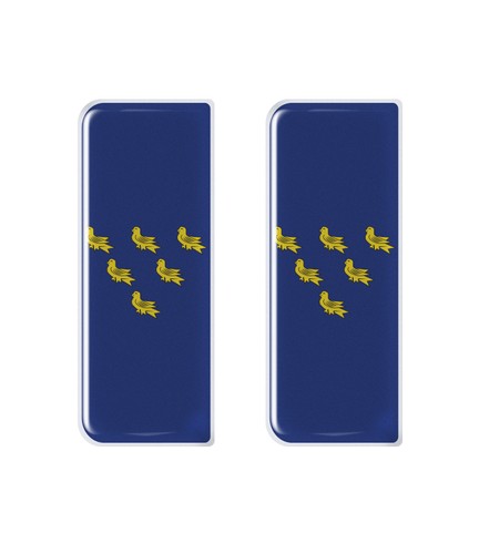Sussex county flag - county, gel