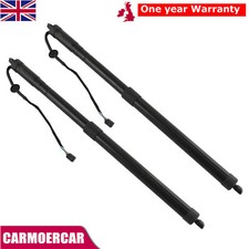 2x Auto Tailgate Gas Struts