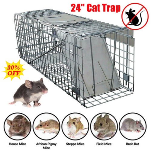 Humane squirrel trap - squirrel,