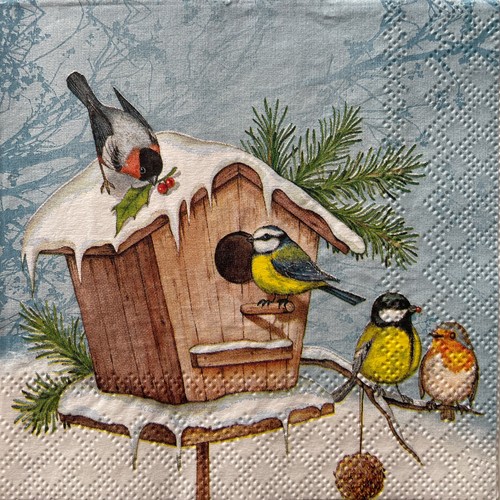 Cocktail paper napkins - x,