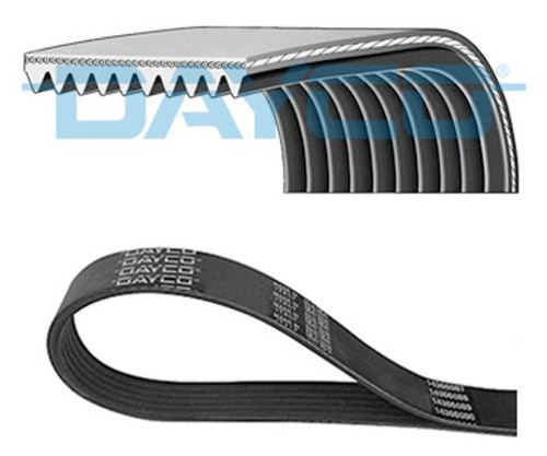 Fits dayco 10pk2475hd ribbed - fits,