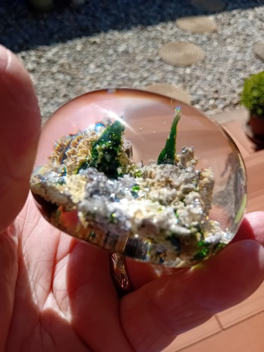 Antique baccarat paperweight - antique,