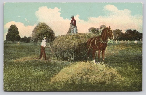 Vintage farm haying scene - haying,