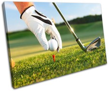 Golf Tee Shot Sports SINGLE