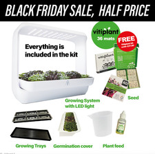 Indoor Microgreen Herb Garden