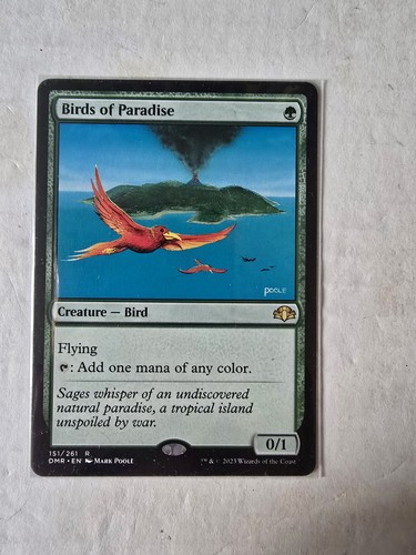 Birds paradise 151 - paradise, 151/261