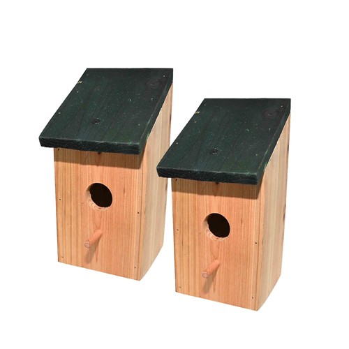 Ram wooden wood bird - ram©,