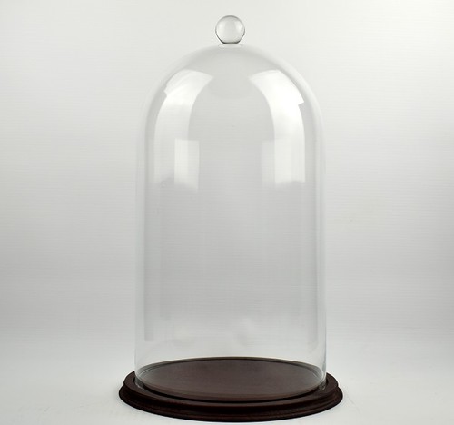 Clear circular glass dome with - circular,