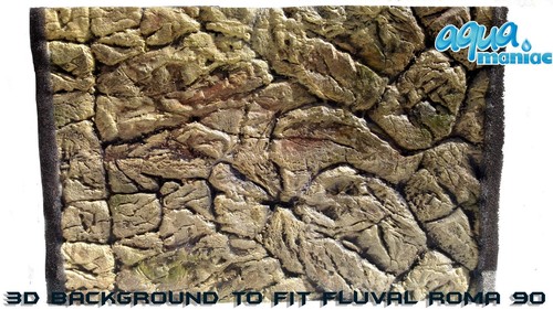 Aquarium vivarium background - aquarium,