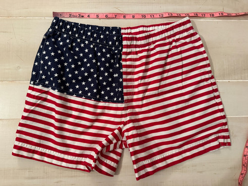 Chubbies andy beaches american - chubbies,