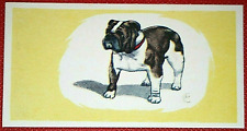 BULLDOG  Vintage 1958 Illustrated Mini Card  DE30M