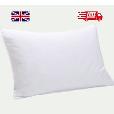 Duck Feather & Down Pillows