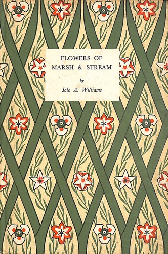 Flowers marsh and stream - marsh,