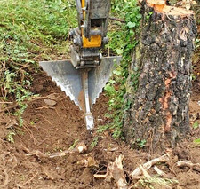 Excavator Shark Tooth tree tap