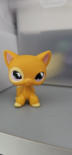 Littlest pet shop 855 - littlest,