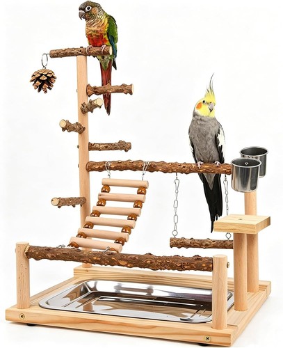 Bird playground parrot play - bird,