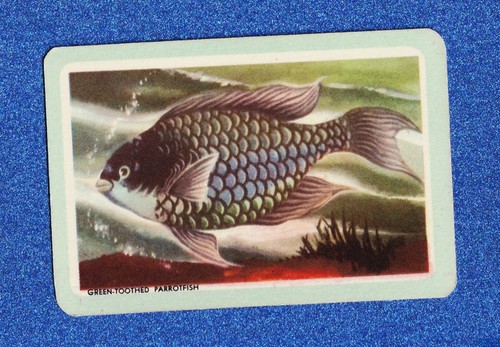 Vintage woolworths fish - vintage,