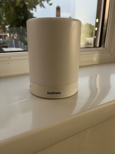 Goodmans portable bluetooth - goodmans,