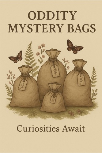 Curiosities await oddity - await:,