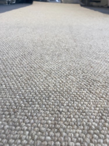 Cream 100 wool - cream, rug