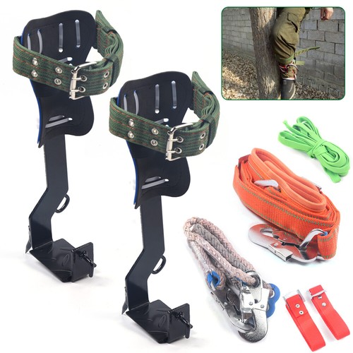 Gears tree climbing tool - tree,