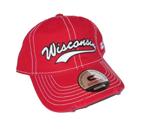 Wisconsin badgers distressed - wisconsin,