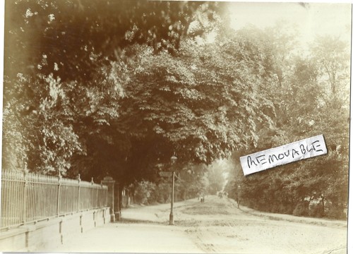 Vintage photo lamp post - vintage,