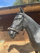 CLEARANCE - Kieffer Lunging