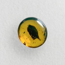 Leaf in Burmese / Burmite