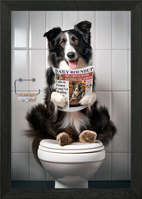 Border Collie on Toilet Framed Wall Art Poster Canvas Print Picture