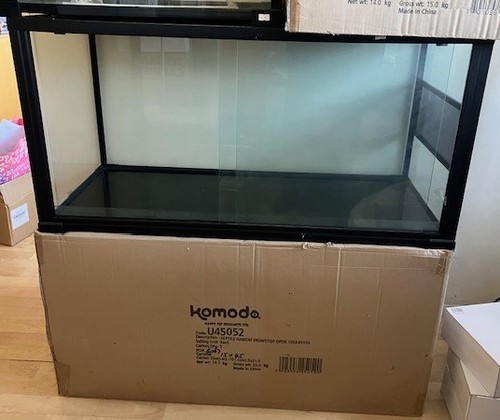 Komodo reptile glass terrarium - reptile,